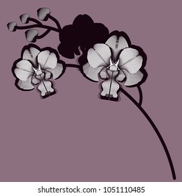 Stylized vector branch orchid flowers. Can be used for modern design, printing on wrapping paper, creating card, invitation card for wedding, product packaging, branding. Vector illustration.