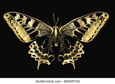 Stylized vector butterfly - abstract vector art - Golden butterfly isolated on black