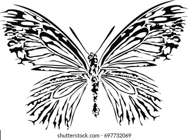 Stylized vector butterfly - abstract vector art 