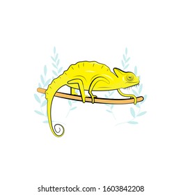 Stylized vector chameleon on a white background