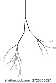 Stylized vector depiction of tree roots arranged in an artistic composition.