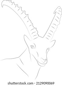 Stylized vector drawing drawn with strokes of lines of different thicknesses. Zodiac signs. Capricorn. The head of a mountain goat with long horns.