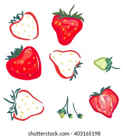 Stilisierte Vektorgrafiken von Erdbeeren. Schnitte Beeren, ganze rote Erdbeeren und grüne stilisierte Erdbeeren. Und einige stilisierte lineare Erdbeeren.