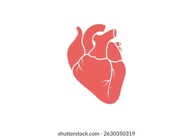 A Stylized Vector Graphic Of An Anatomical Human Heart In Coral Color On A White Background