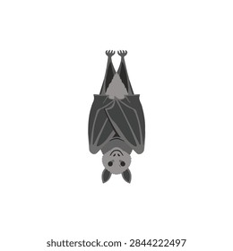Stylized vector of a gray fruit bat hanging upside down on white background
