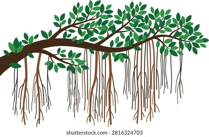 A stylized vector illustration of a banyan tree branch with hanging aerial roots and lush green leaves against a white background.