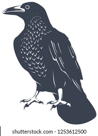 stylized vector illustration of the bird raven