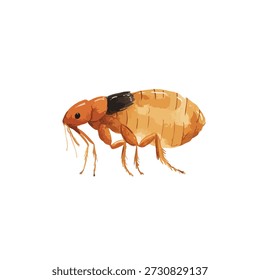 Ilustração vetorial estilizada de uma pulga marrom, um inseto parasita comum. Ideal para controle de pragas, saúde animal e conteúdo educacional.