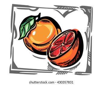 A stylized vector illustration of citrus. Cut in half grapefruit, and an orange with leave.