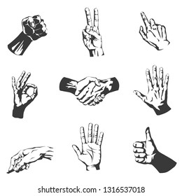 stylized vector illustration - collection of human hands in different gestures