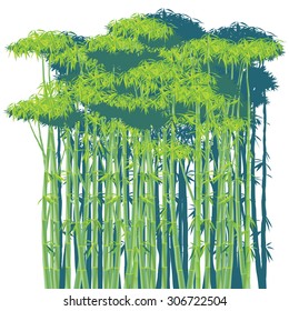 stylized vector illustration of a dense bamboo thickets