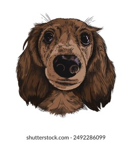 Stylized vector illustration of a dog's face. A solid-colored cocker spaniel with fluffy fur, brown eyes, ideal for creating a veterinarian's corporate identity.