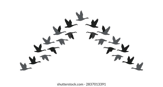 A stylized vector illustration of a flock of geese flying in a classic V-shaped formation against a plain white background.