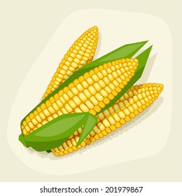 Stylized vector illustration of fresh ripe corn cobs.