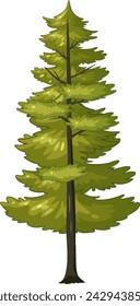 A stylized vector illustration of a green pine tree.