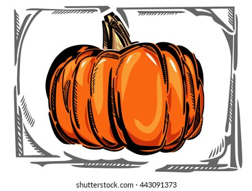 A stylized vector illustration of an orange pumpkin, with stem, in gray curvy frame.