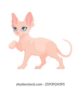 Stylized vector illustration of a pink hairless cat with blue eyes, mid-step, on a white background. Minimalist design. Vector of Pink Hairless Cat in Motion