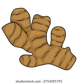 Ilustração de vetor estilizado de uma raiz de gengibre gordurosa com pele marrom texturizada e contornos pretos arrojados, isolado em um fundo branco limpo.