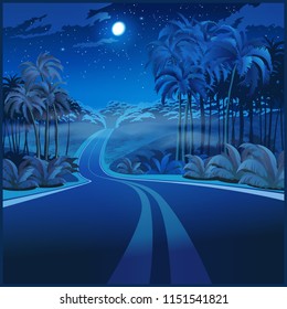 Stylized vector illustration of a road through the jungle at night