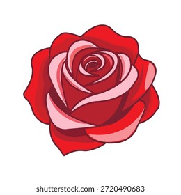 Una Ilustración vectorial estilizada de una rosa, un Grande brote con pétalos suavemente rizados, en ricos tonos rojos y rosados.