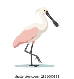 A stylized vector illustration of a roseate spoonbill bird with pink plumage and a distinct spoon shaped beak standing in a simple pose on a white background