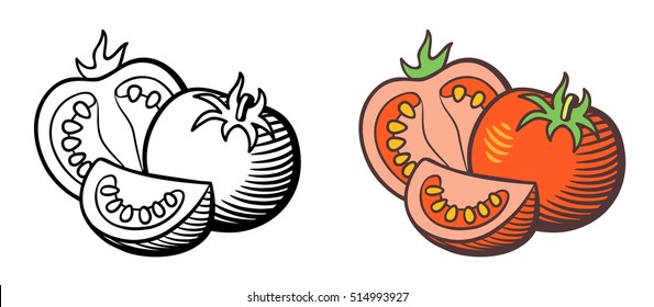 Stylized vector illustration tomatoes  Fresh ripe tomato  cross section and seeds   slice  Outline   colored version  isolated white