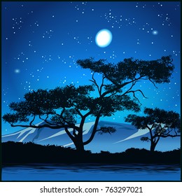 Stylized vector illustration of trees at starry night