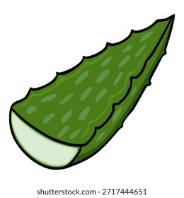 Uma ilustração vetorial estilizada de um segmento de folha verde vibrante de aloé vera, apresentando sua superfície texturizada e seu interior carnudo.