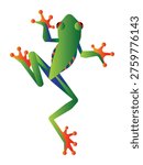 Stylized vector illustration of a vibrant red-eyed tree frog in a dynamic climbing pose, isolated on a white background.