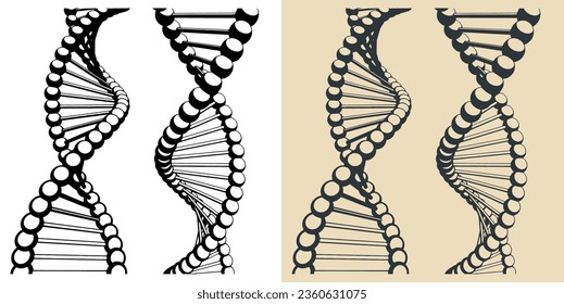 Stylized vector illustrations of DNA chains