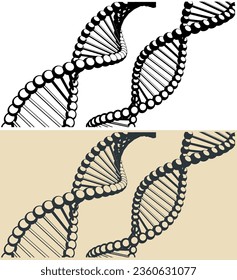 Stylized vector illustrations of DNA chains