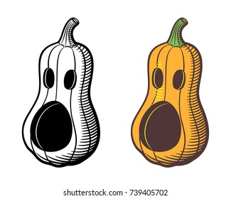 Stylized vector image of jack-o-lantern. Butternut squash carved for Halloween. Outline and colored version