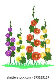 Stylized vector mallow flowers isolated on white