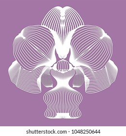 Stylized vector orchid flower. Can be used for modern design, printing on wrapping paper, creating card, invitation card for wedding and other. Vector illustration.