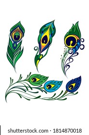 Stylized, vector peacock feathers. Vector illustration