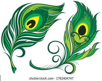 Stylized, vector peacock feathers. Set of  feathers