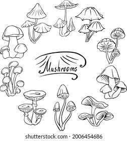 Stylized vector set of mushrooms