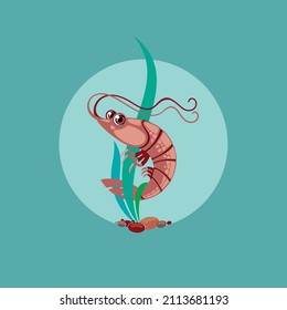 Stylized vector shrimp. Sea shrimp.