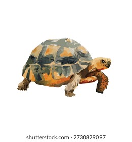 Ilustração de tartaruga vetorial estilizada com tons terrosos, recurso gráfico ideal para temas da natureza, conteúdo educacional ou projetos infantis.