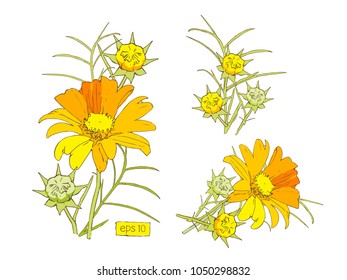 Stylized vector yellow flowers set