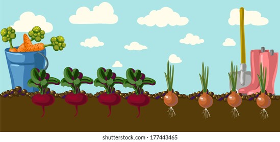 Stylized vegetables set  isolated