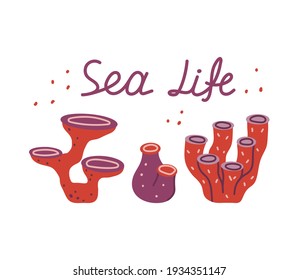 Stylized water plant, coral, actinia with lettering Sea life. Cute hand drawn illustration. Poster, t shirt print, design for eco cosmetic packaging. Flat isolated vector elements. Red, purple color