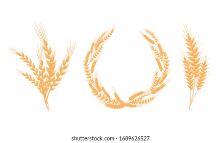 Stylized Wheat Head or Spikes Isolated on White Background Vector Set