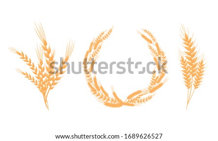 Stylized Wheat Head or Spikes Isolated on White Background Vector Set