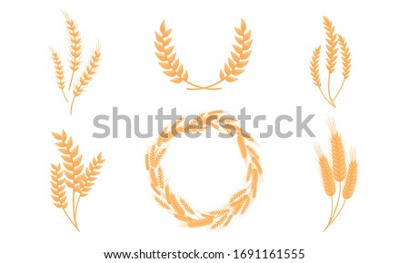 Stylized Wheat Head or Spikes Isolated on White Background Vector Set
