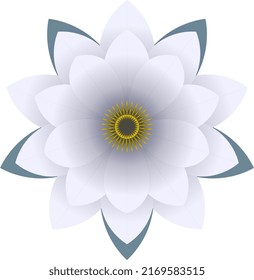 A stylized white water lily, stylized. Vector.