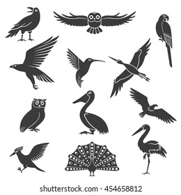 Stylized wild and exotic birds silhouettes black icons collection with pelican soaring eagle and peacock isolated vector illustration  