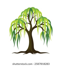 A stylized willow tree with long, cascading green leaves and a sturdy brown trunk, giving it an elegant, serene appearance