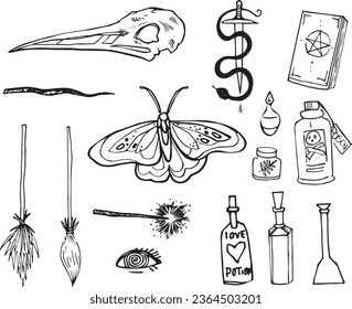 Stylized Witch Set Line Clip Art Design Linear Halloween Witchcraft Magic Elements icons. Doodle  elements Vector hand-drawn illustration for holiday designs, decorations. Cartoon line drawing stuff