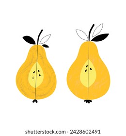 Stylized yellow pear in section. Cross section of a cut pear, isolated vector illustration.